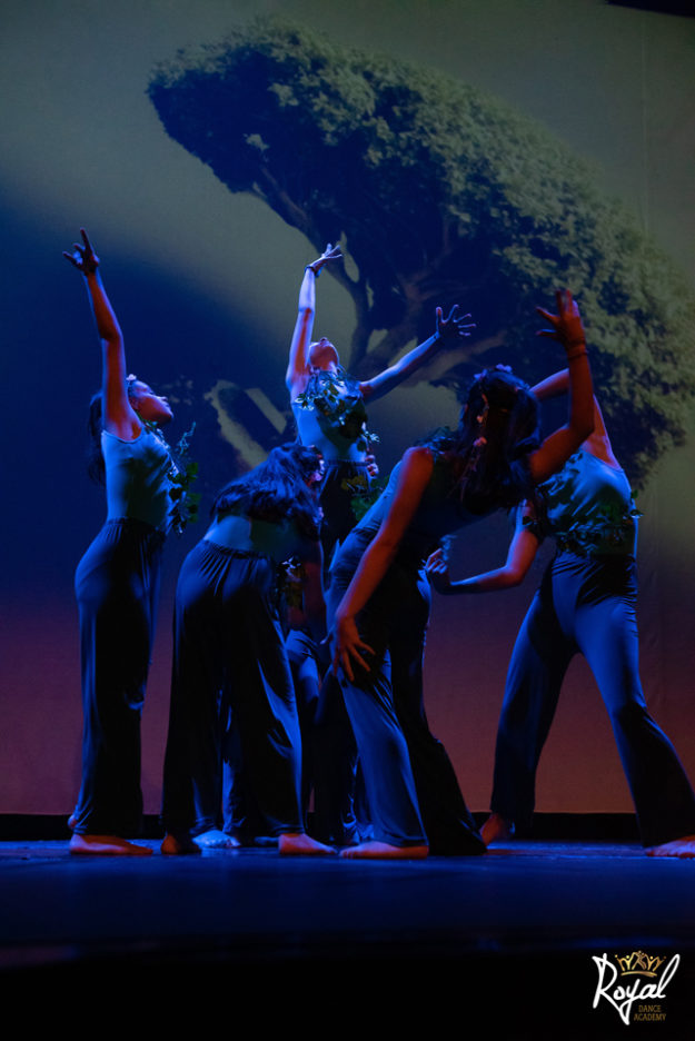 Royaland & The Castle of Life 2019